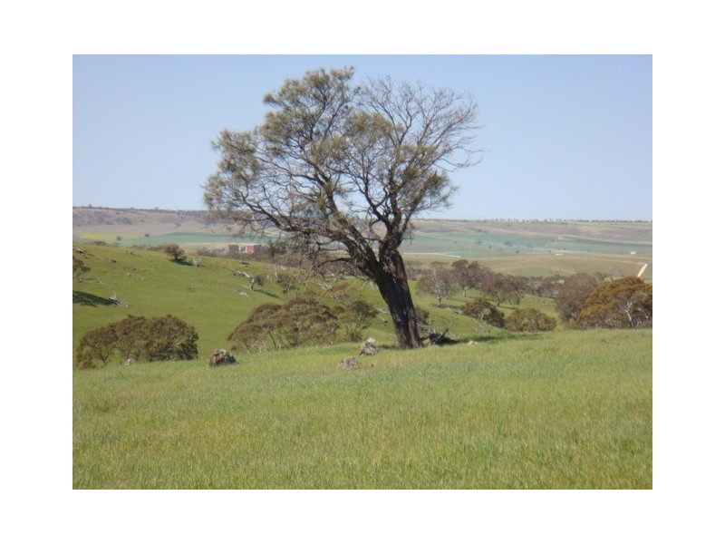 Lot 8 Sawpit Gully Road, Dawesley SA 5252
