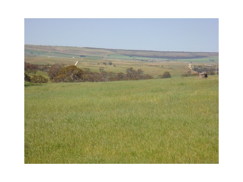 Lot 8 Sawpit Gully Road, Dawesley SA 5252