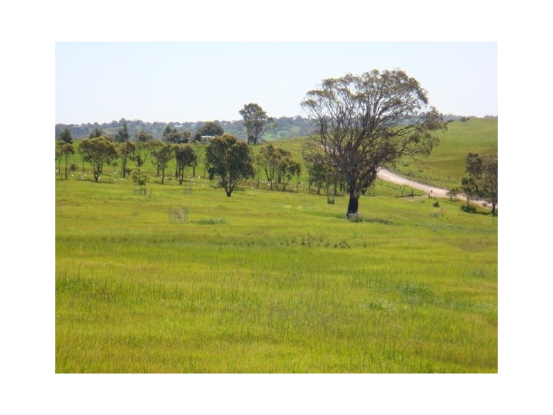 Lot 8 Sawpit Gully Road, Dawesley SA 5252