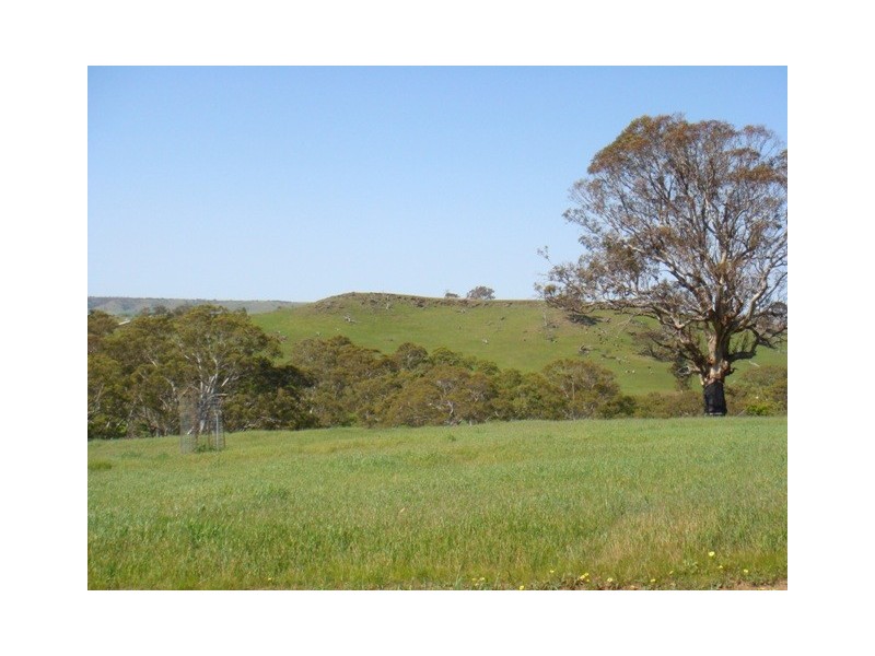 Lot 8 Sawpit Gully Road, Dawesley SA 5252