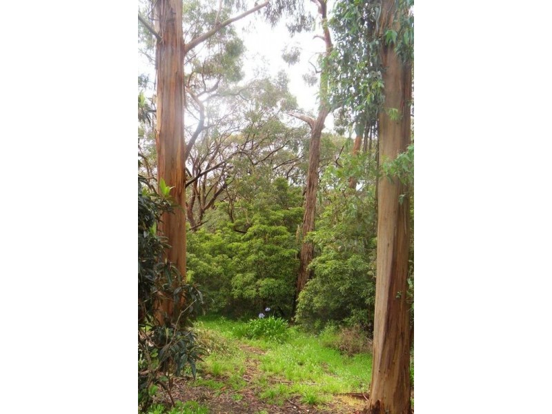 23 Towers Road, Bridgewater SA 5155