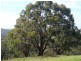 Lot 25 Greenhill Road, Carey Gully SA 5144