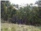 Lot 25 Greenhill Road, Carey Gully SA 5144