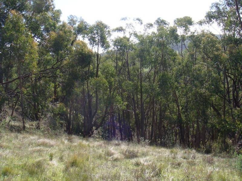 Lot 25 Greenhill Road, Carey Gully SA 5144