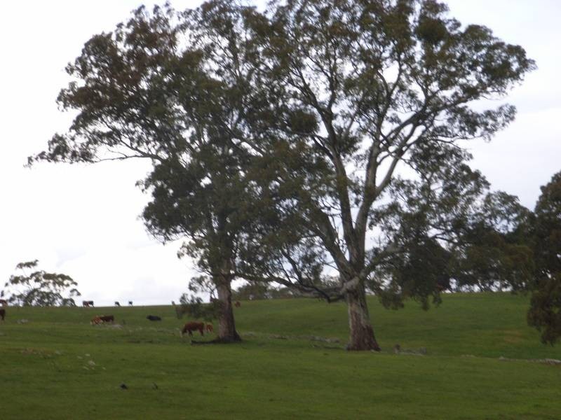 Hermanns Road, Mount Torrens SA 5244