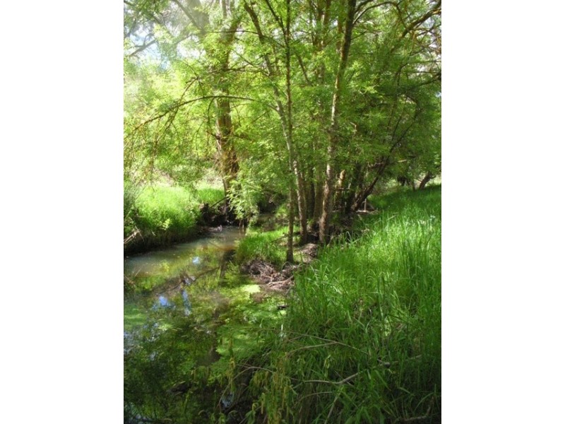 51A & 53 North Terrace, Littlehampton SA 5250