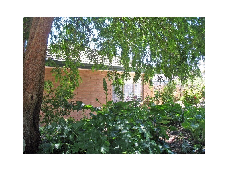 65 Grevillea Way, Woodside SA 5244