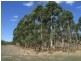 Lot 60 Bird In Hand Road, Woodside SA 5244