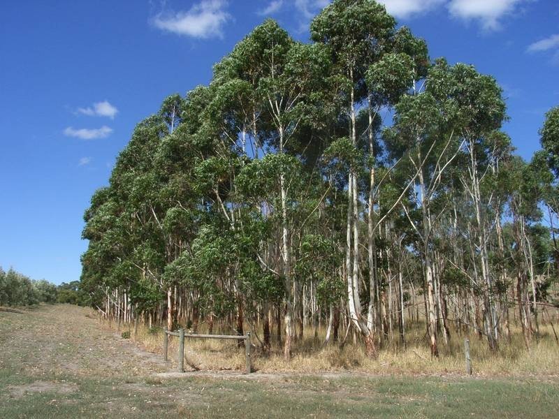 Lot 60 Bird In Hand Road, Woodside SA 5244