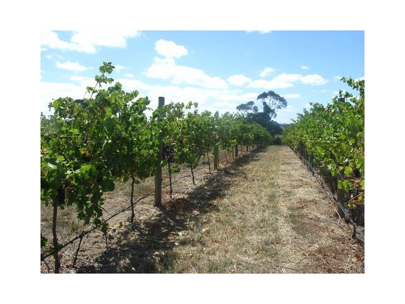 Lot 60 Bird In Hand Road, Woodside SA 5244