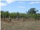 Lot 60 Bird In Hand Road, Woodside SA 5244