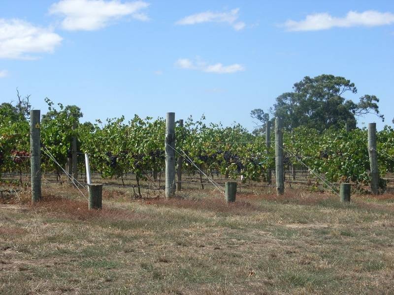 Lot 60 Bird In Hand Road, Woodside SA 5244