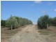Lot 60 Bird In Hand Road, Woodside SA 5244