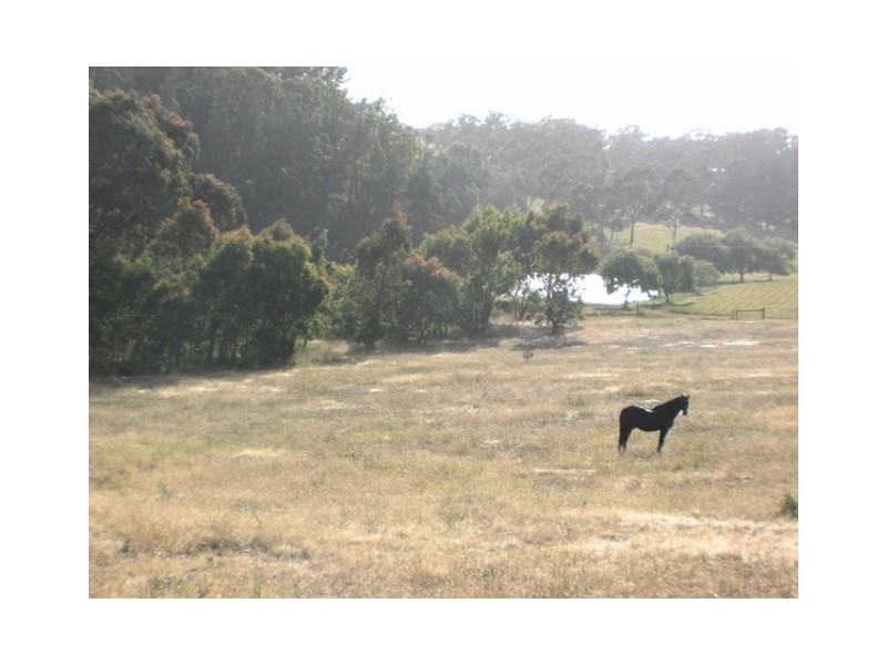 Lot 420 Sheoak Road, Mylor SA 5153