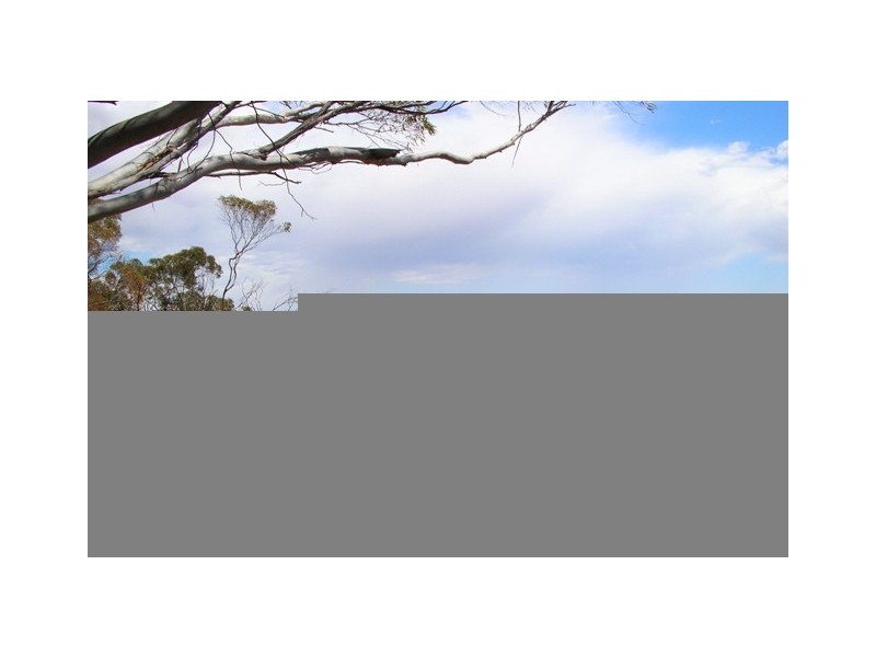 Lot 132 East Front Road, Younghusband SA 5238