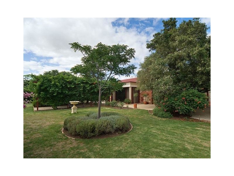 5 West Terrace, Strathalbyn SA 5255