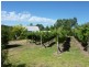 20 Davies Street, Macclesfield SA 5153