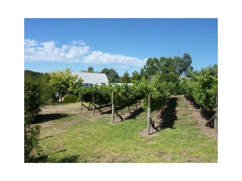20 Davies Street, Macclesfield SA 5153