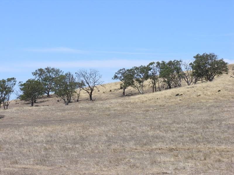 Sect.5341 Princes Highway, Kanmantoo SA 5252