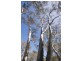 . Sims Road, Mount Barker SA 5251