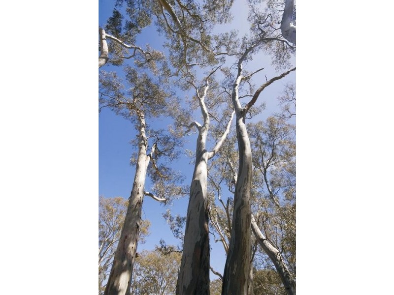 . Sims Road, Mount Barker SA 5251