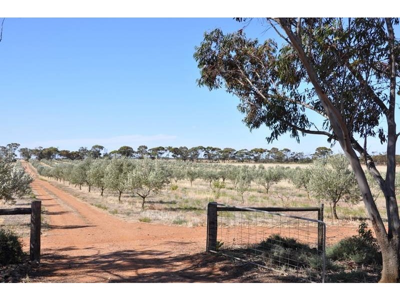 Lot 21 Old Princes Highway, Monarto SA 5254