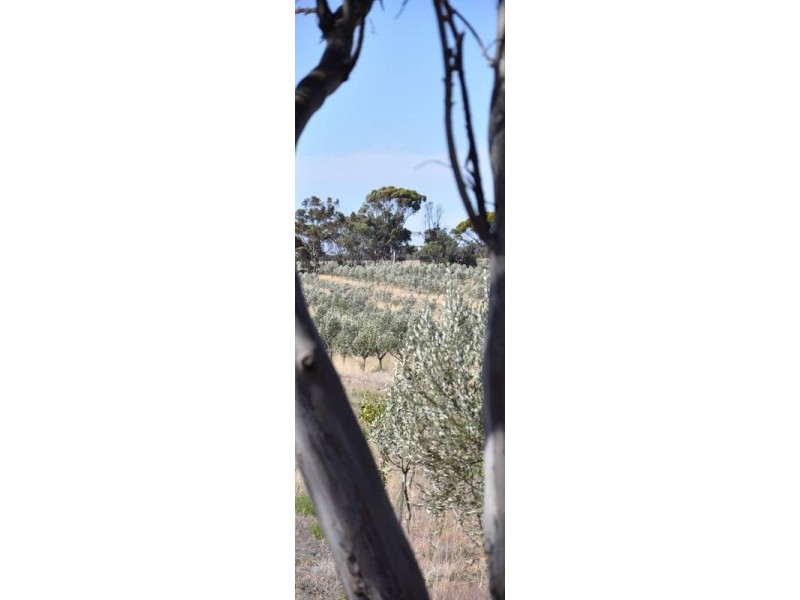 Lot 21 Old Princes Highway, Monarto SA 5254