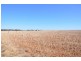 Lot 21 Old Princes Highway, Monarto SA 5254