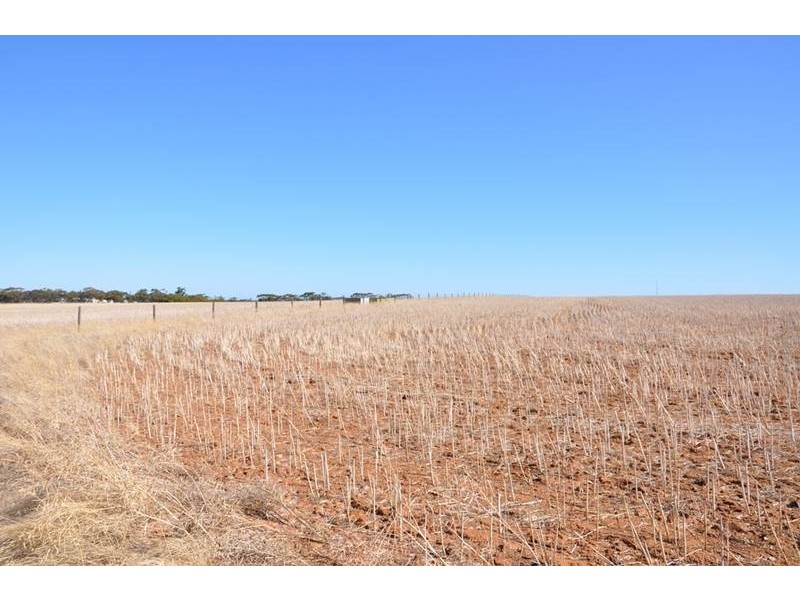Lot 21 Old Princes Highway, Monarto SA 5254