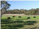 Lot 10 Cobbledick Road, Echunga SA 5153