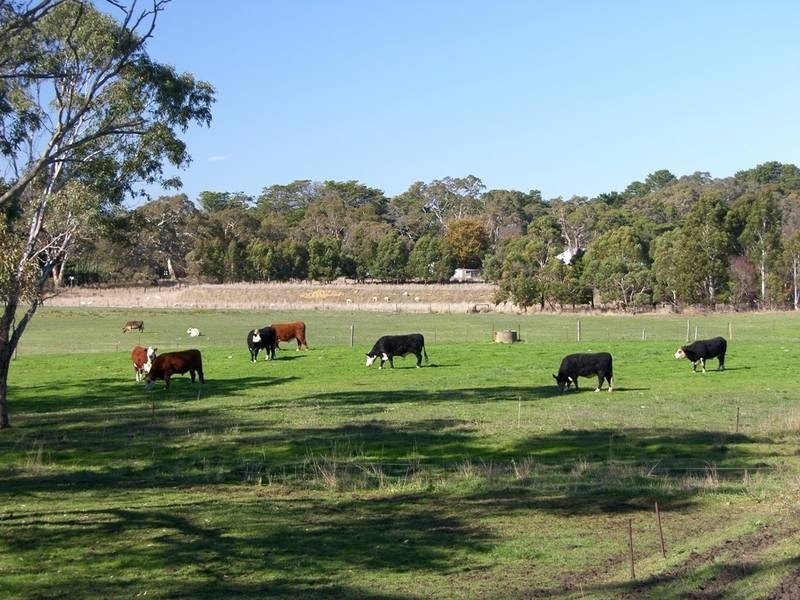 Lot 10 Cobbledick Road, Echunga SA 5153