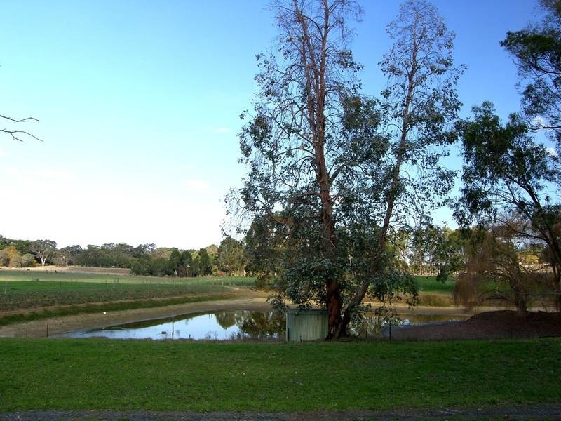 Lot 10 Cobbledick Road, Echunga SA 5153