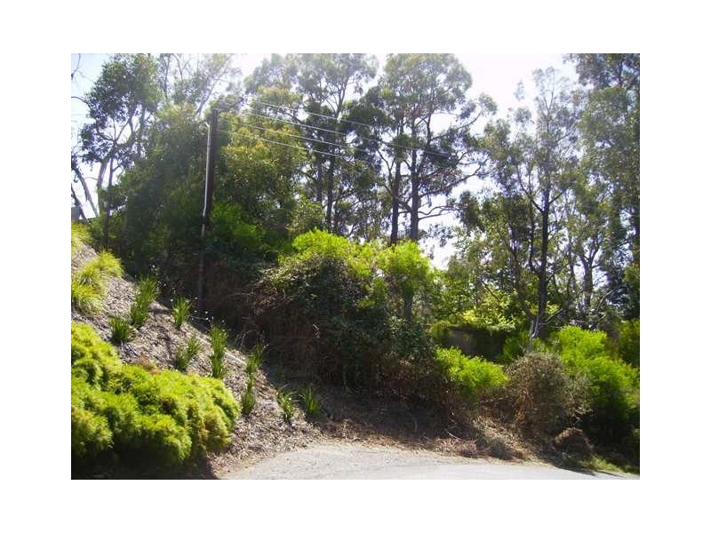 37 Wattle Tree Road, Bridgewater SA 5155