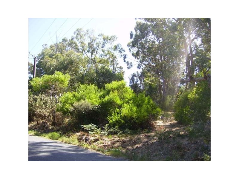 37 Wattle Tree Road, Bridgewater SA 5155
