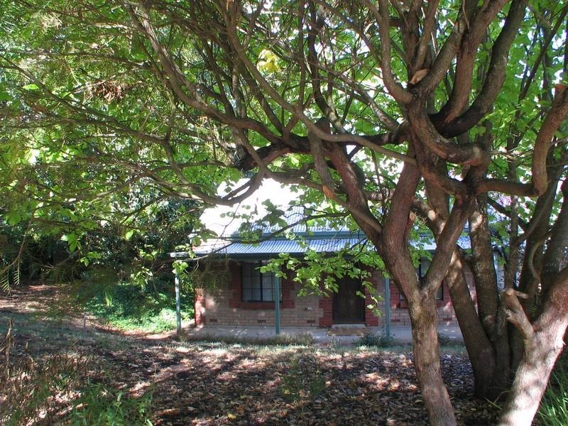 16 Maurice Road, Mount Barker SA 5251