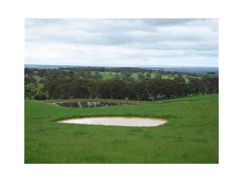 Lot 48 Pound Road, Macclesfield SA 5153