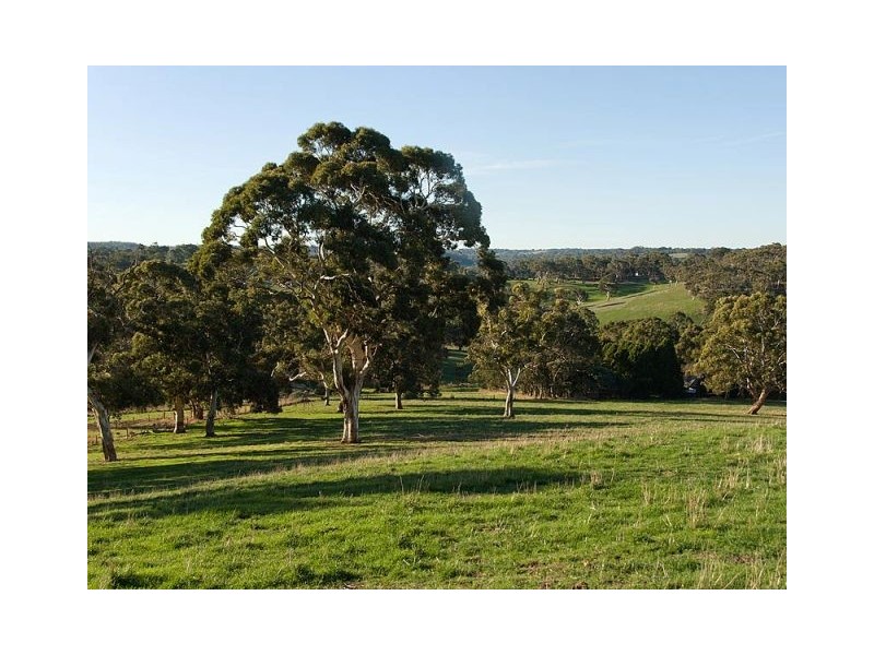 Lot 48 Pound Road, Macclesfield SA 5153