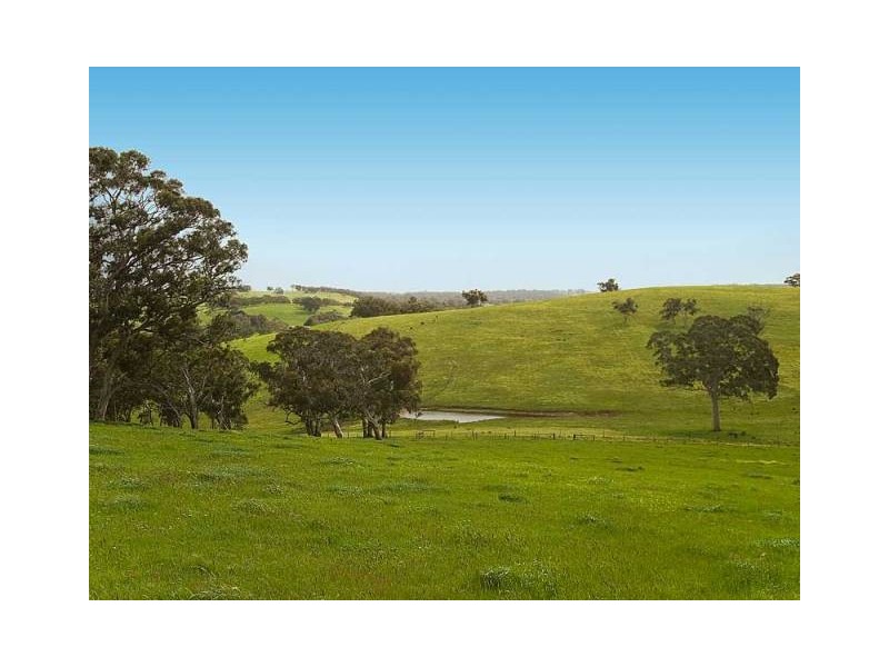 Lot 48 Pound Road, Macclesfield SA 5153
