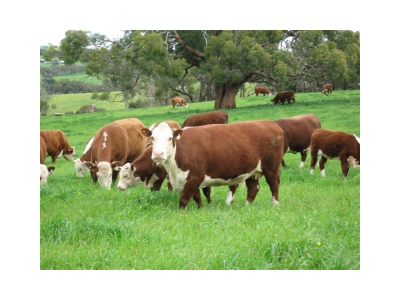 Lot 48 Pound Road, Macclesfield SA 5153