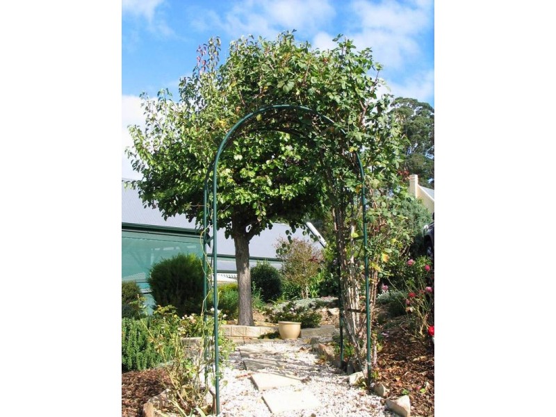 22 Hereford Avenue, Hahndorf SA 5245