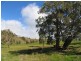 Lot 1 Rams Road, Rockleigh SA 5254