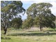 Lot 1 Rams Road, Rockleigh SA 5254