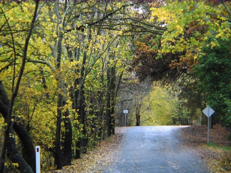 Lot 42 Wyndham Court, Blakiston SA 5250