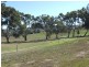 Lot 94, . Reefton Road, Woodside SA 5244