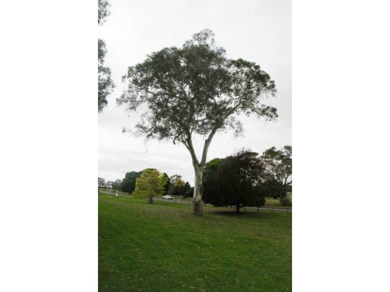 Lot 1 North Terrace, Littlehampton SA 5250