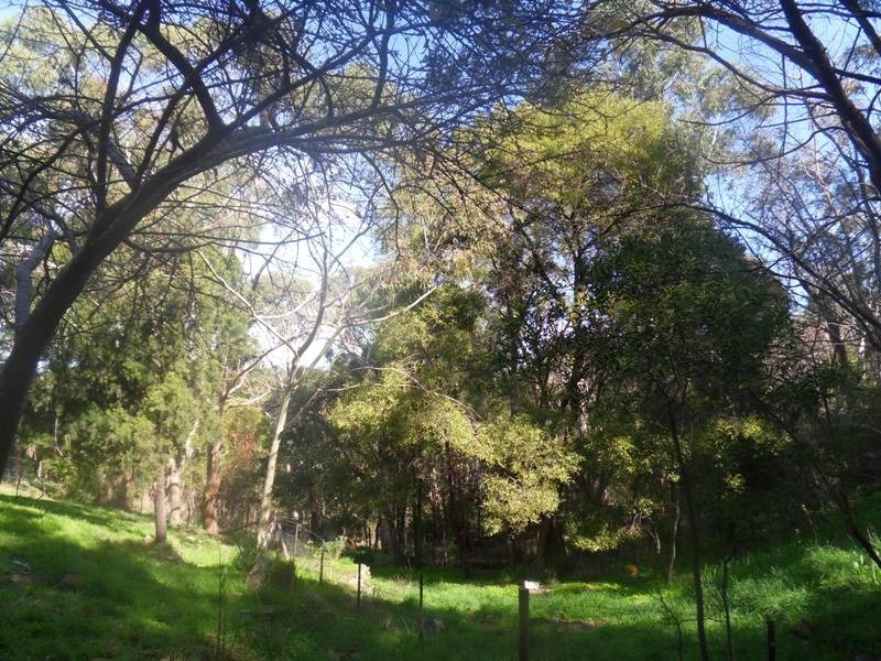 Lot 101 Aldgate Valley Road, Aldgate SA 5154