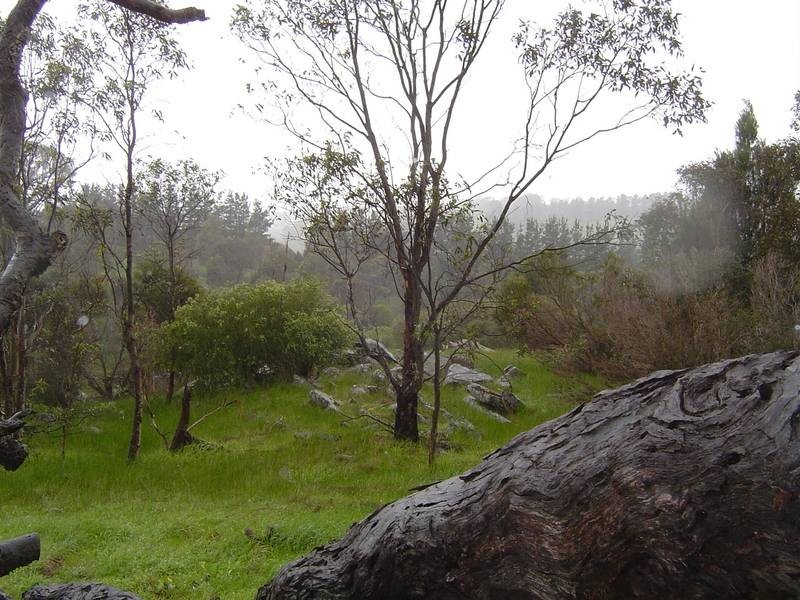 Lot 202 Archer Hill Road, Highland Valley SA 5255