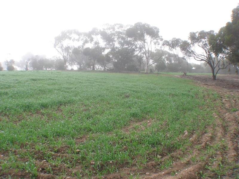 Lot 607 Frahn Road, Murray Bridge SA 5253