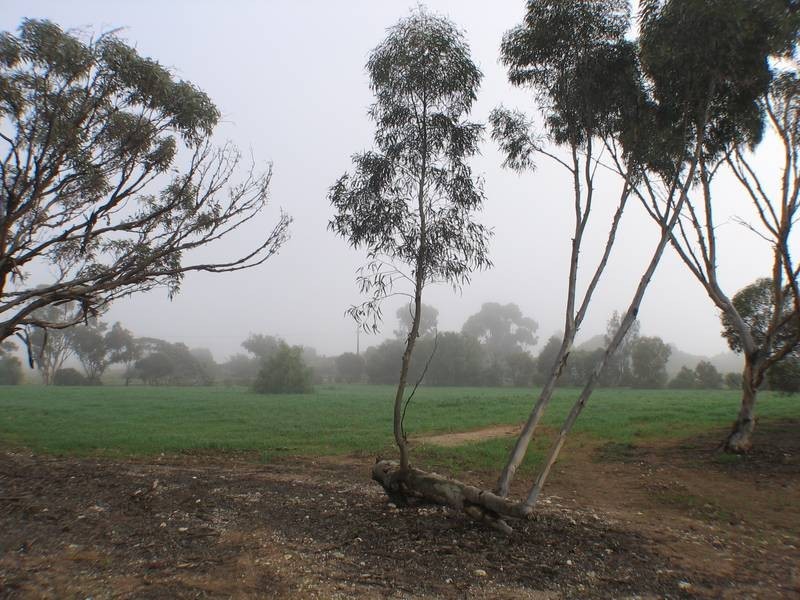 Lot 607 Frahn Road, Murray Bridge SA 5253