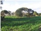 Lot 607 Frahn Road, Murray Bridge SA 5253